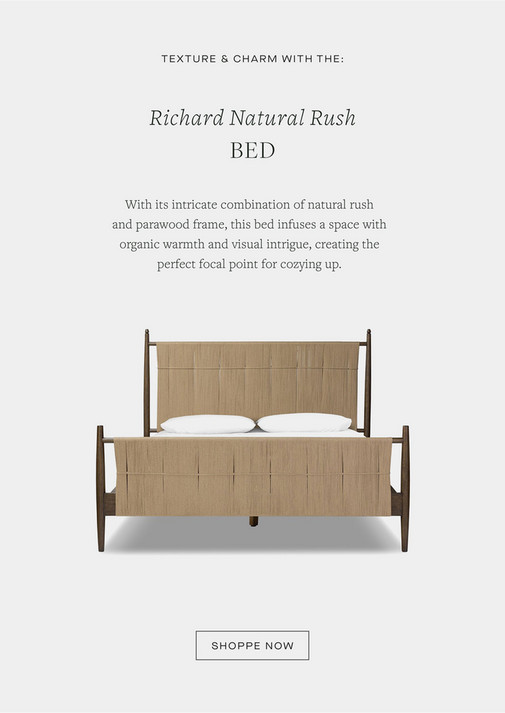 Amber Lewis x Four Hands Lookbook 2024 | Shoppe Amber Interiors - Page ...